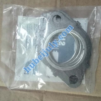 5269779 exhaust pipe gasket